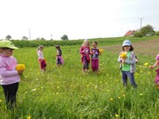 Pleteme věnečky z pampelišek